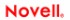 Novell, a Silicon Strategies Marketing client
